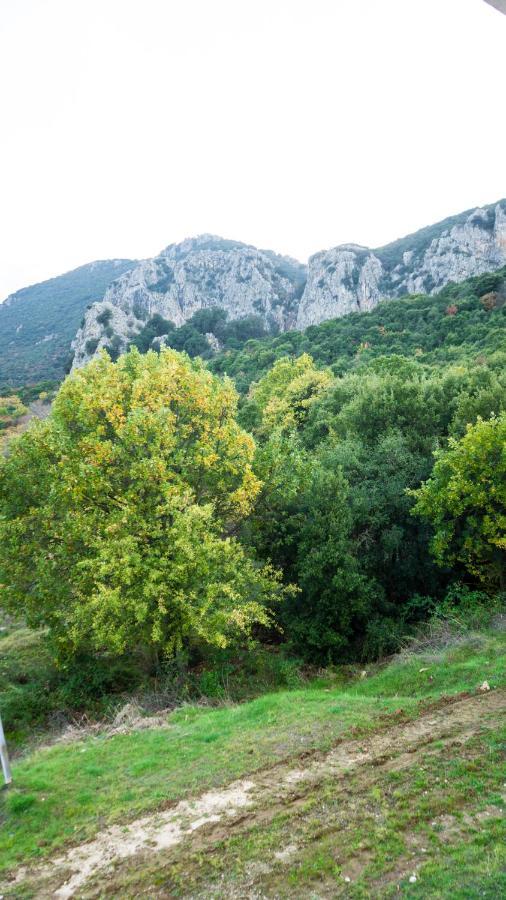 Villa Maria Υπέροχη Βίλα Στα Μετέωρα Kalambáka Kültér fotó